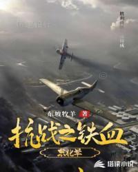抗战铁血东北军