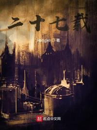廿七什么意思