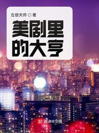大亨的传奇人生 美利坚大盗