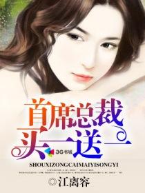 言情首席萌宝买一送一