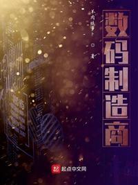 数码制造商TXT百度