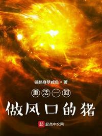 重活一回做风口的猪 第二百五十四章 风起云涌