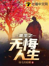 重生之无悔人生宋婉清