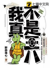 我这不是王八