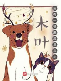 木叶我有一棵恶魔果实树顶点
