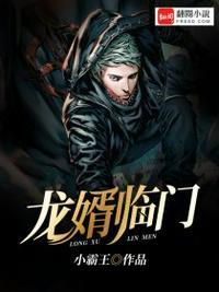 赘婿如龙全文免费 阅读最新