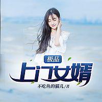 极品女婿秦浩的故事最新篇章的内容形式