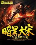 暗黑大宋全文阅读