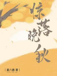 惊落晚秋圣诞快乐章节