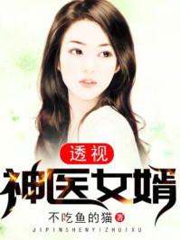 李天兰极品医生全集