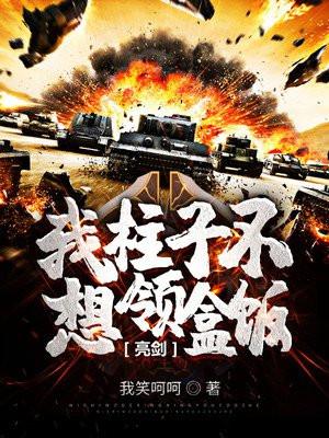 亮剑柱子瞄准点赞