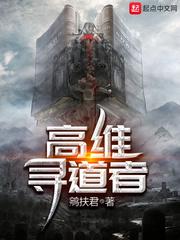 高维寻道者起点