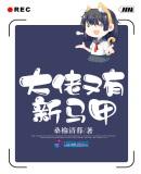 大佬你还有多少马甲啊