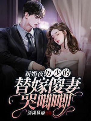 厉少的替嫁新娘电视剧