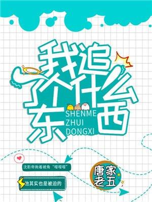 我追啊追又追到底是为了谁