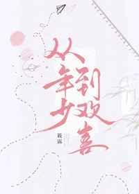 从年少到欢喜实体书