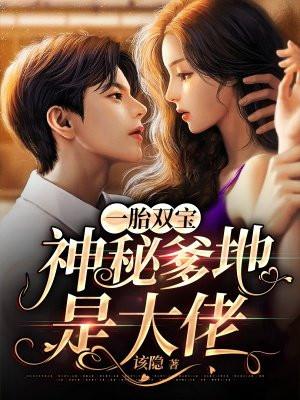 一胎双宝神秘老公惹不起全文免费阅读