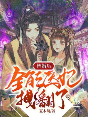 替嫁医妃百度百科