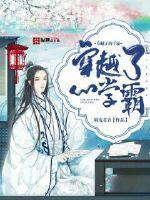 穿越了的学霸十九公主结局