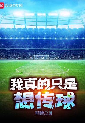 我真的只是想传球TXT