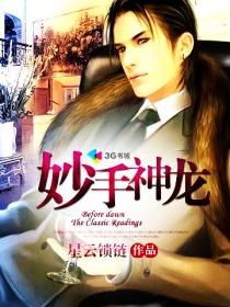 妙手神龙1-100集免费观看
