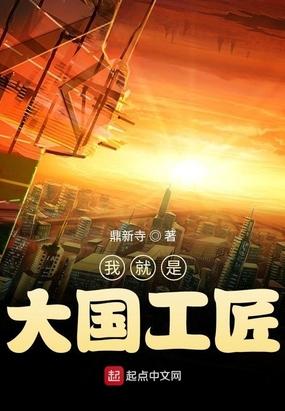 我就是大国工匠 TXT