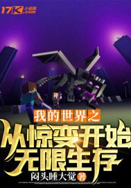 从我的世界
