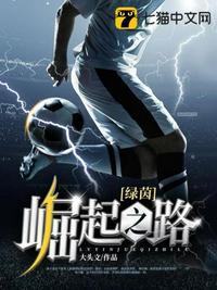 绿茵崛起之路游戏攻略