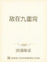 九重霄打数字
