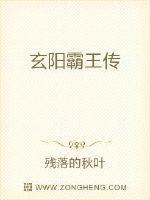 机甲霸王传