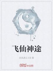 飞扬神途