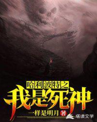 哈利波特之我是死神哈利波特