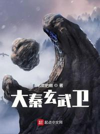 大秦玄武卫起点