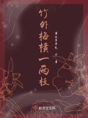 竹外花三两枝全诗