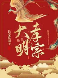 大明孝宗实录标点版