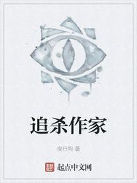 追杀作家TXT