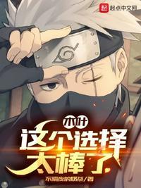 木叶这个选择太棒了txt