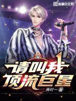 请叫我顶流巨星有声