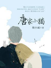 唐家小猫有几个版本