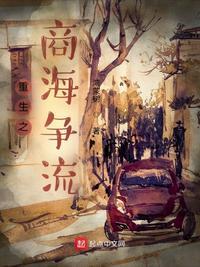 重生之商海官道