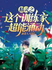 精灵之硬核训练家