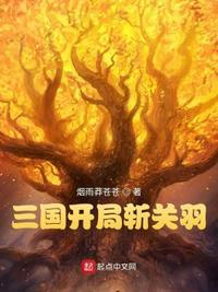 三国开局斩关羽 烟雨莽苍苍
