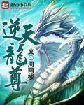 逆天龙尊陆鸣传奇免费阅读全文