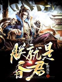 朕就是昏君作者醉流年