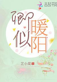 卿似暖阳免费阅读笔趣阁