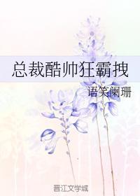 总裁酷帅狂霸拽介绍