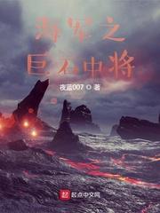 海军之巨石中将 最新章节 无弹窗 笔趣阁