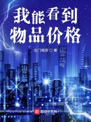 能看到物品价格的起点
