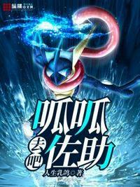 去吧呱呱佐助评价