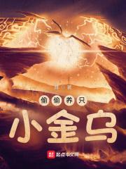 偷偷养只小金乌无错字